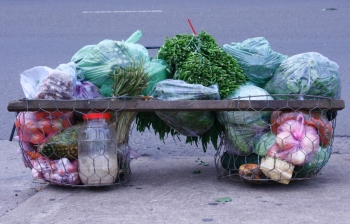 Nghề "hai sọt" ở vùng biên