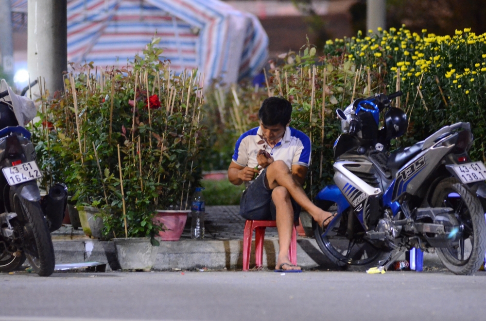 Hoa cảnh Tết ở Đà Nẵng vắng người mua