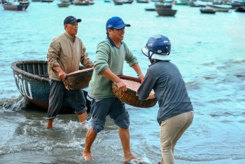 ngu dan da nang tat bat mua ruoc bien