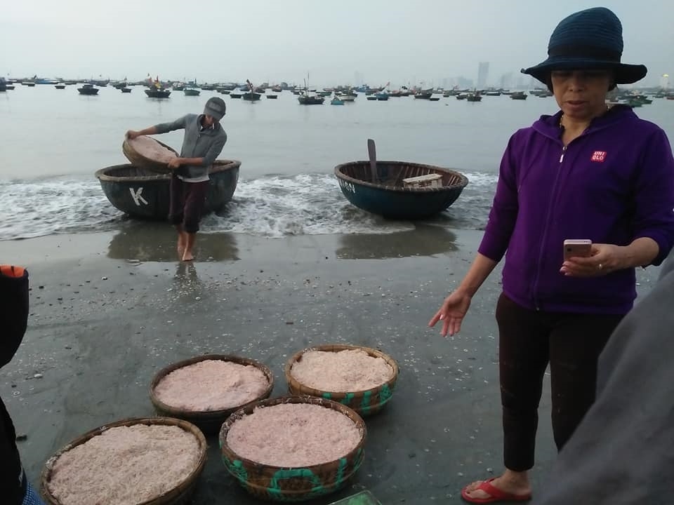 Vào mùa ruốc biển, ngư dân Đà Nẵng phấn khởi vì giá cao