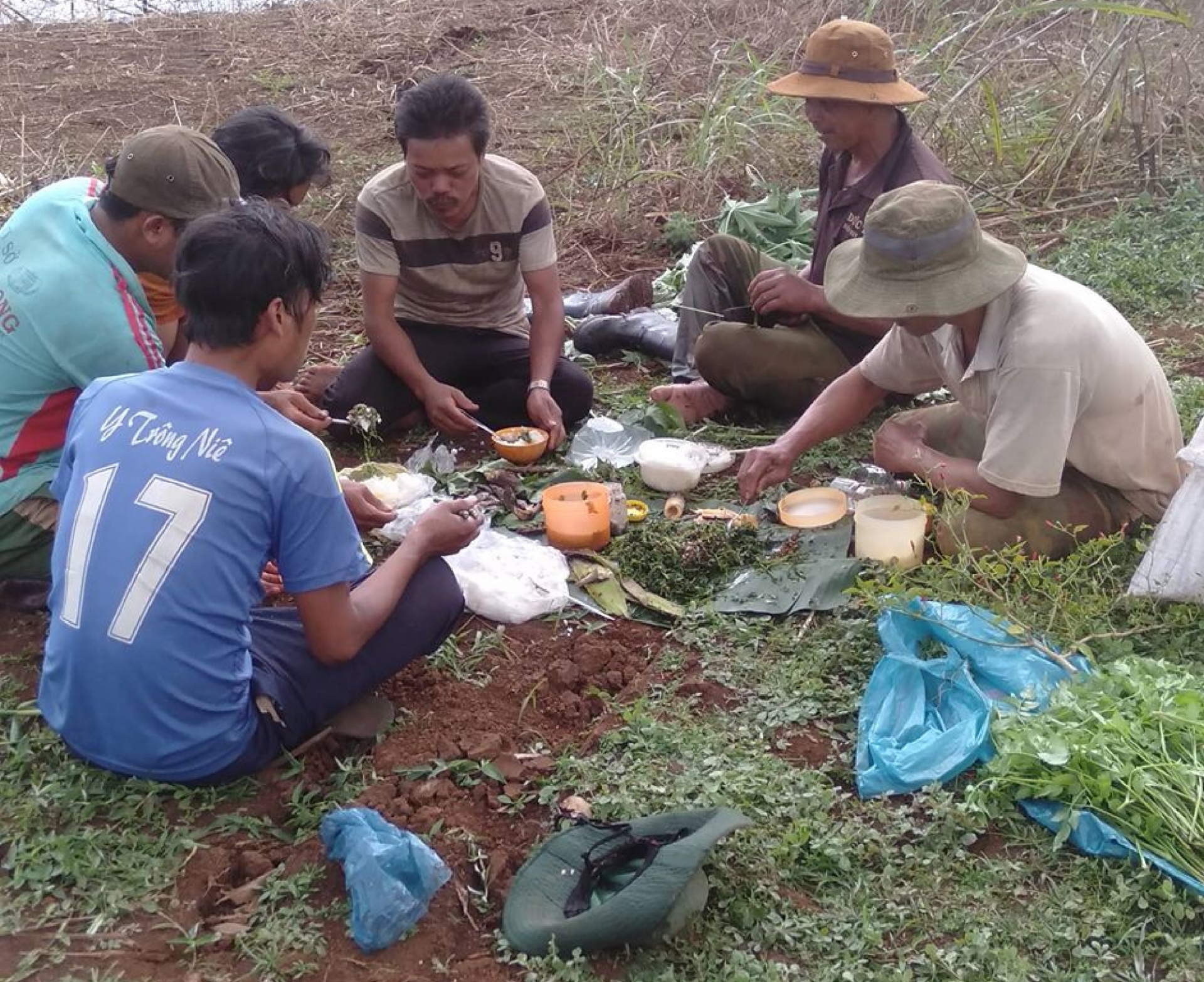 tay nguyen vao mua han nghe dao gieng thue len huong