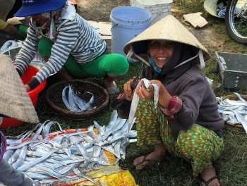 Phơi cá hố ở làng chài