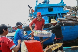 Tinh mơ ở cảng cá Thọ Quang: Xôn xao, tấp nập hơn ban ngày