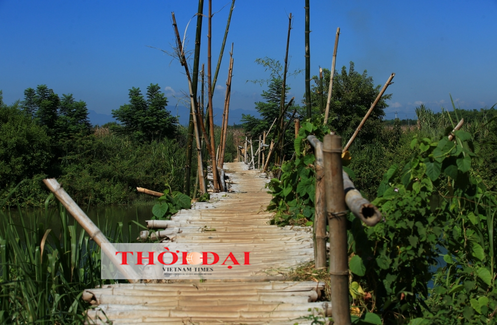 Chiếc cầu tre ở đồng bằng xứ Quảng