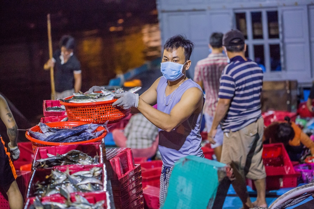 Tạm dừng hoạt động cảng cá lớn nhất Đà Nẵng