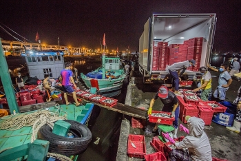 Giữa mùa dịch, ngư dân ở cảng cá Thọ Quang vẫn miệt mài mưu sinh