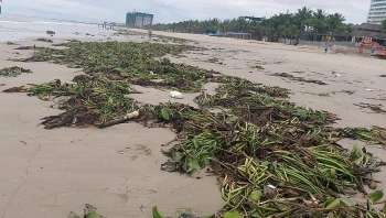 Bãi biển Đà Nẵng ngập rác sau bão, cộng đồng kêu gọi chung tay vớt rác cho biển xanh