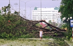 bao so 5 vua tan mien trung lai chuan bi don bao moi