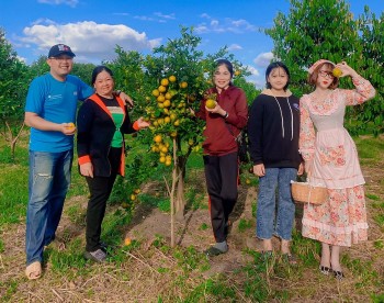 Chàng cử nhân bỏ phố về rừng làm nông nghiệp sạch