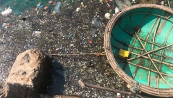Cảng cá Thọ Quang (Đà Nẵng) ngập trong rác thải