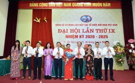 Đại hội Đảng bộ Cơ quan Liên hiệp các tổ chức hữu nghị Việt Nam lần thứ IX: Nâng cao chất lượng và hiệu quả hoạt động để thích ứng với tình hình mới