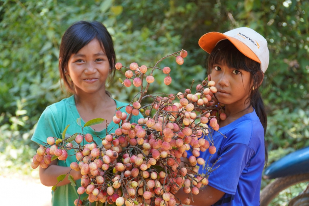 Vải rừng: 