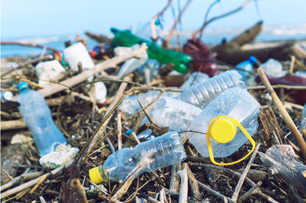 Vấn nạn rác thải nhựa hiện nay đến từ thải bỏ các sản phẩm không đúng cách