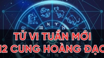 tu vi tuan moi cua 12 cung hoang dao tu 173 2332025 bao binh can trong trong giao thong
