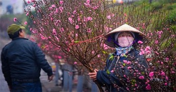 Dự báo thời tiết 21/1/2022: Hà Nội trời rét, có mưa rào rải rác