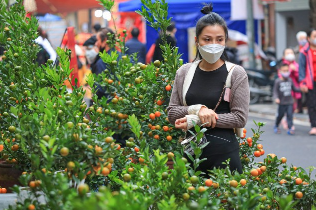 Một năm vắng lặng của chợ hoa trong lòng phố cổ