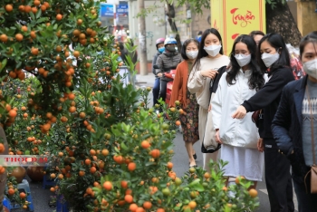 Một năm vắng lặng của chợ hoa trong lòng phố cổ Hà Nội