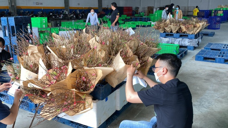 Hàng Việt "chiếm sóng" các sàn thương mại điện tử, phục vụ khách hàng xuyên Tết 2022