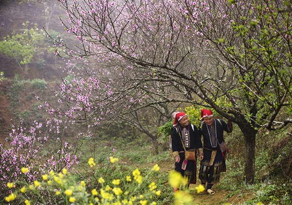 Bắc Bộ duy trì trạng thái rét đậm, rét hại đến mùng 5 Tết