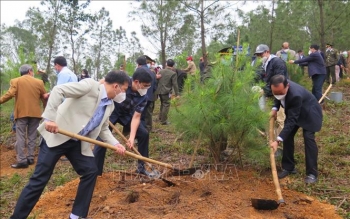 Thừa Thiên - Huế: Phát động phong trào "Tết trồng cây" trên toàn tỉnh