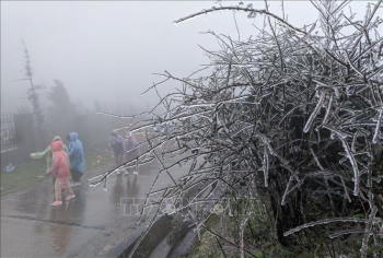 Lạng Sơn: băng giá đông kết cửa nhà, phủ kín cây cỏ trên đỉnh Mẫu Sơn