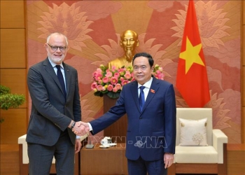 Thúc đẩy mạnh mẽ, hiệu quả hơn nữa quan hệ hợp tác Việt Nam - Pháp