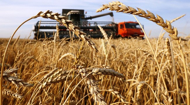 LHQ cảnh báo xung đột Nga-Ukraine gây khủng hoảng lương thực toàn cầu