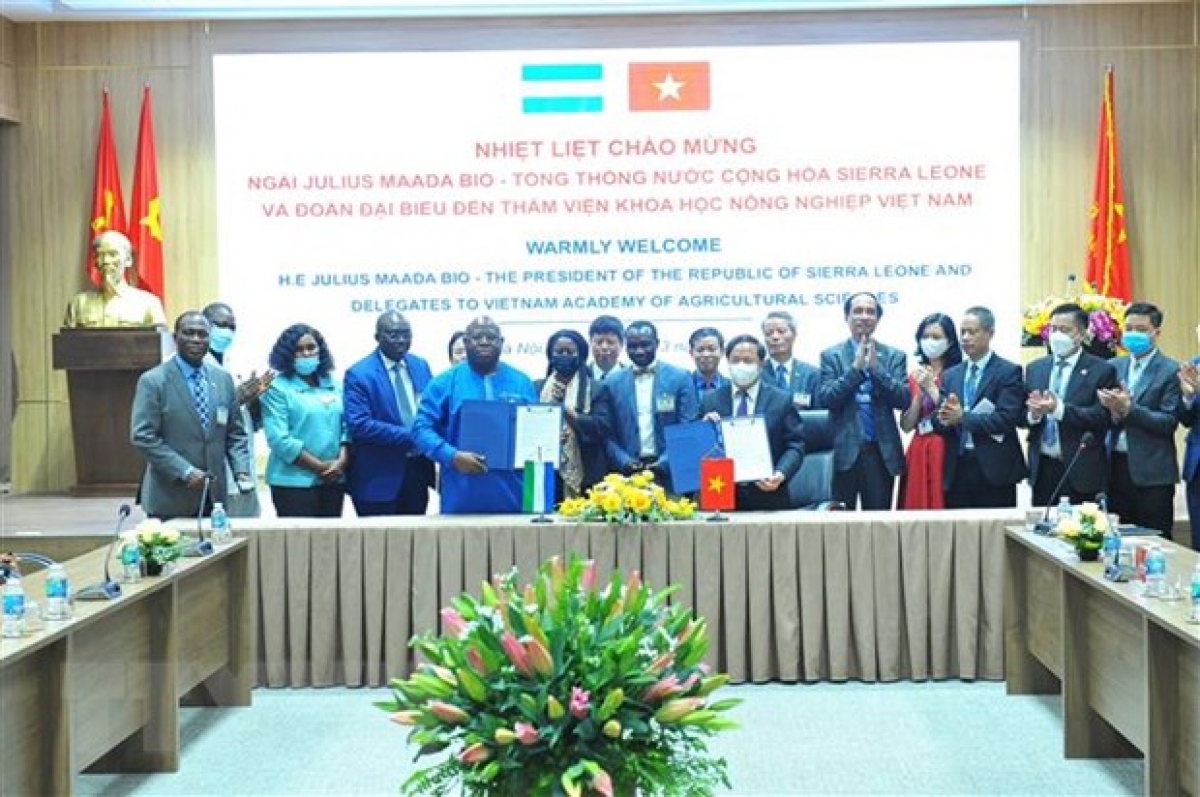 Nhân dịp này, hai bên đã ký biên bản ghi nhớ nhằm thúc đẩy hợp tác giữa Sierra Leone và Viện Khoa học Nông nghiệp Việt Nam trong lĩnh vực trồng trọt. Ảnh: Minh Đức/TTXVN.