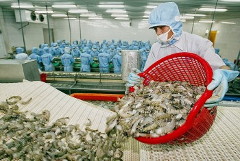 Hoạt động xuất khẩu thủy sản của Việt Nam sang Anh tăng mạnh