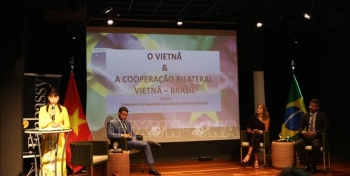 Tổ chức sự kiện "Cà phê cùng Đại sứ - phiên bản Việt Nam" tại Brazil