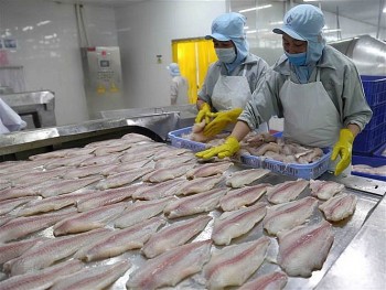 Cơ hội vàng cho Việt Nam xuất khẩu cá tra sang thị trường Anh