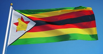 Việt Nam gửi điện mừng Quốc khánh nước Cộng hòa Zimbabwe