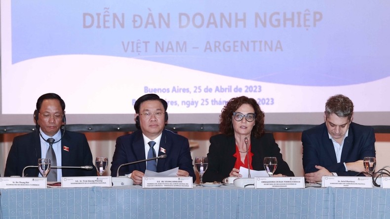 Việt Nam-Argentina hướng tới hợp tác hiệu quả nhiều lĩnh vực kinh tế, thương mại ảnh 1