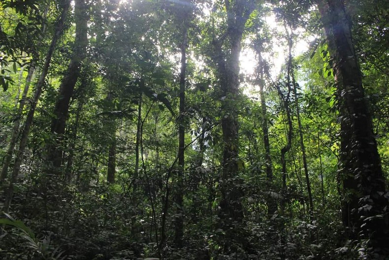 Tổ chức FFI tài trợ 2,4 tỷ đồng bảo tồn đa dạng sinh học tại Quảng Ngãi ảnh 1