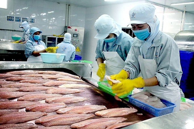 Khủng hoảng lương thực ở EU và cơ hội cho xuất khẩu cá tra Việt | Báo Công Thương
