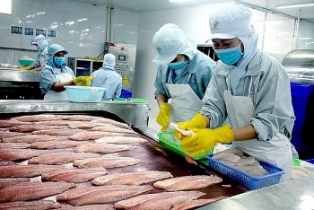 Nỗi lo khủng hoảng lương thực ở EU tạo cơ hội cho xuất khẩu cá tra Việt Nam