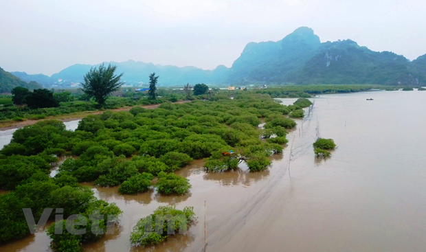 Phát triển kinh tế đại dương "xanh": Chìa khóa để vươn ra biển lớn | Môi trường | Vietnam+ (VietnamPlus)