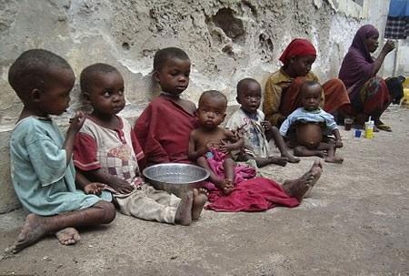 FAO cảnh báo nguy cơ có thêm từ 11 triệu - 19 triệu người bị đói
