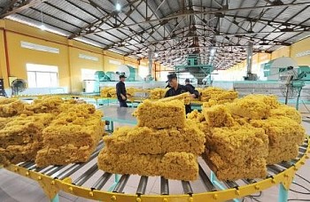 Xuất khẩu cao su Việt Nam sang thị trường Thổ Nhĩ Kỳ tăng trưởng khá