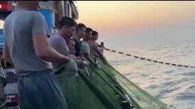 Video: Xuyên đêm khai thác cá bạc má, ngư dân miền Trung thu về hàng trăm triệu đồng