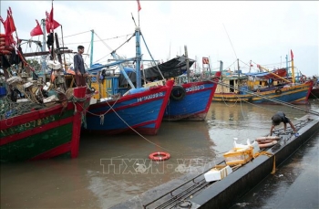 Khắc phục "thẻ vàng" IUU: Xử lý triệt để những vi phạm trong khai thác