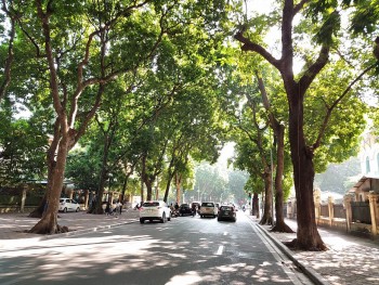 du bao thoi tiet 219 ha noi ngay co nang chieu toi va dem mua dong