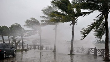 Sẵn sàng mọi phương án để ứng phó áp thấp nhiệt đới có khả năng mạnh lên thành bão