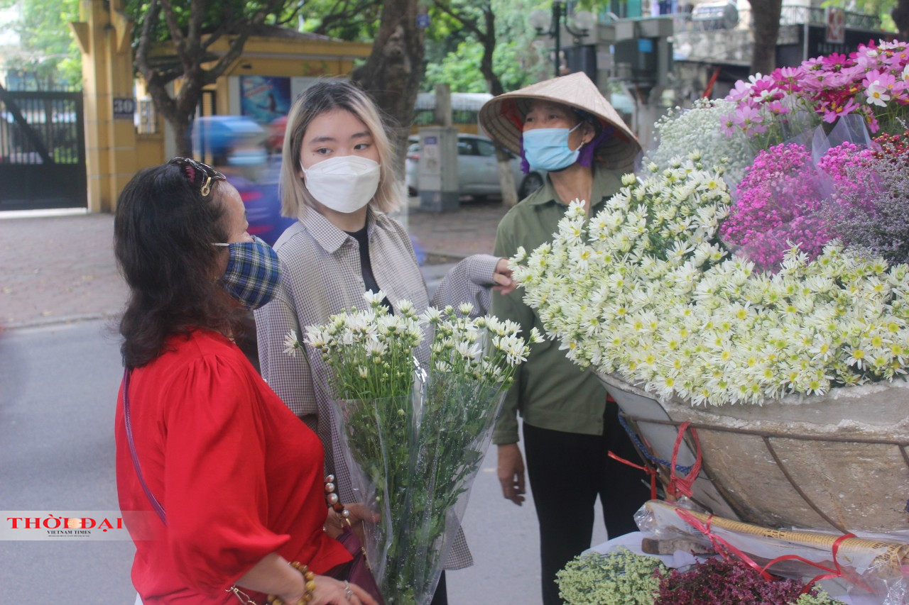 Vẻ đẹp của cúc họa mi luôn thu hút mọi ảnh nhìn của người đi đường.