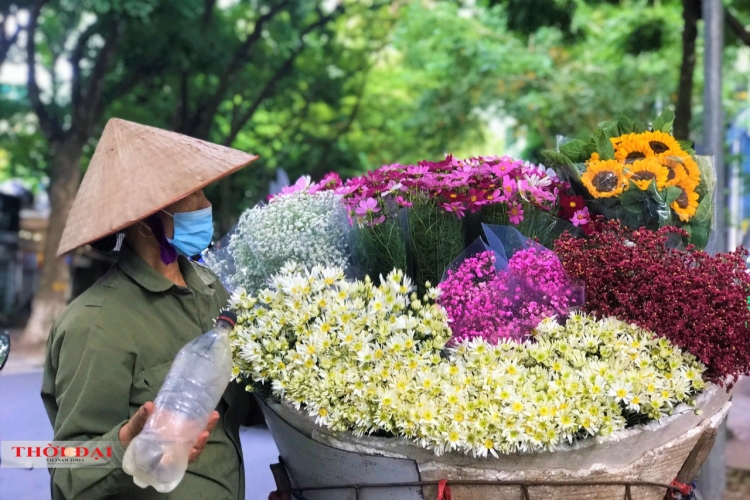 Để có những bó hoa tươi và đẹp nhất bán đến tay người yêu hoa, những tiểu thương đã phải lựa hoa từ sáng sớm ở chợ hoa Quảng Bá.