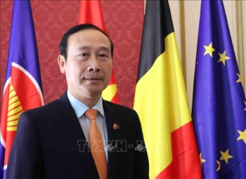 Đại sứ Nguyễn Văn Thảo: Thúc đẩy quan hệ hợp tác Việt Nam - EU lên tầm cao mới