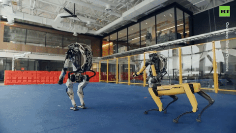 Video: Dàn robot nhảy múa, uốn lượn điệu nghệ đón chào năm mới
