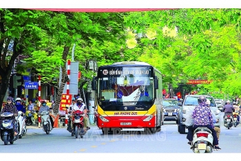 lo trinh lich trinh cac tuyen xe buyt tai tp hai phong moi nhat chi tiet nhat nam 2021