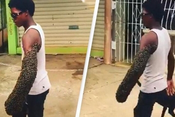 video rung minh canh di nhandi lai tren pho voi canh tay kin dac ong