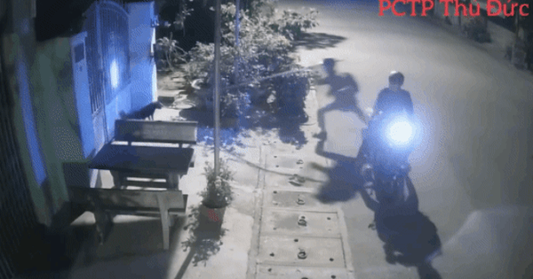 Video: "Cẩu tặc"chích điện rồi bắt chó trước cửa nhà dân